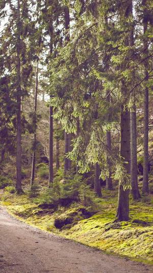 泛目录和寄生虫有什么区别截图2