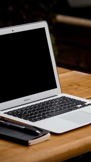 搭建蜘蛛池视频截图3