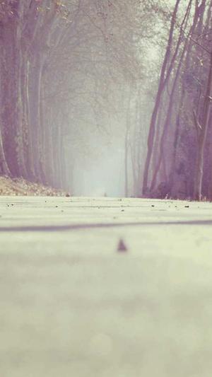 wpk格式软件截图4