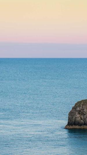 seo快速推广截图2