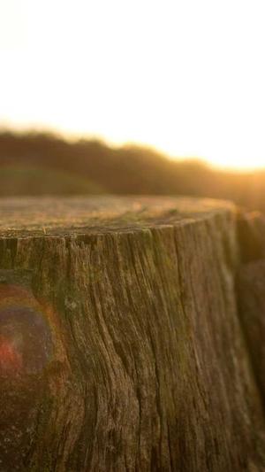 蜘蛛池的搭建技巧图解截图1