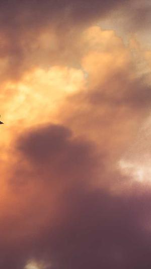 SEO优化教程截图1