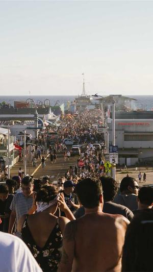 蜘蛛池租用选哪家截图1