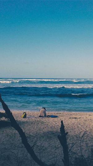 蜘蛛池有用吗骗局截图5