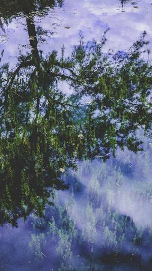 拼音泛目录截图1