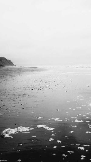 如何把网站放入蜘蛛池截图3