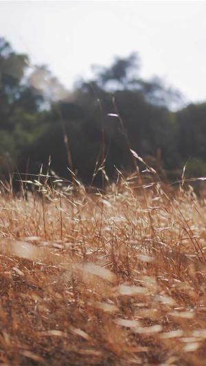 网站seo优化排名截图2