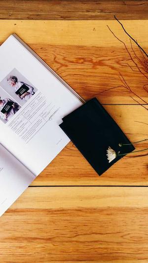 蜘蛛池模板下载安装截图5