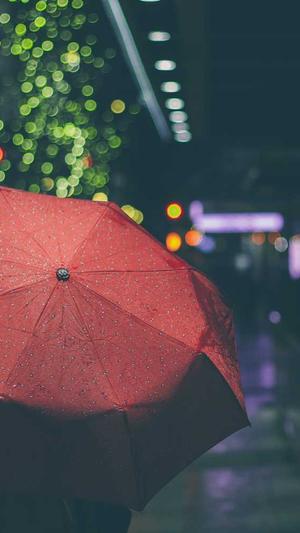 泛目录的作用截图4