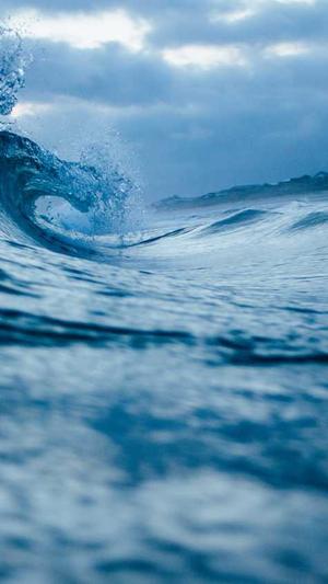 梦幻西游私服脚本辅助截图1