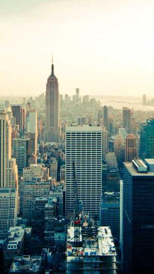 蜘蛛池有用吗骗局截图1