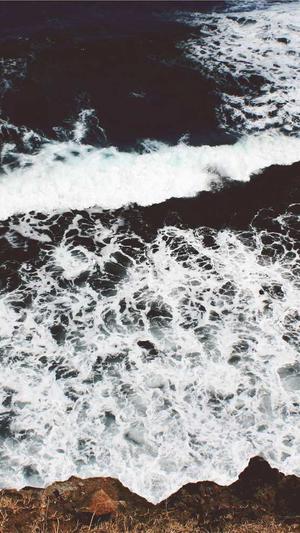 seo网站优化流程截图2