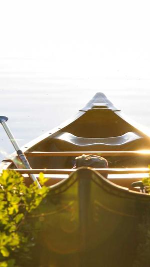 蜘蛛池做seo排名靠谱吗截图2