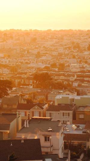 泛目录解析站群视频站截图2