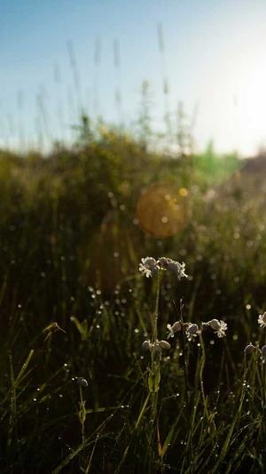 怎么用蜘蛛池赚钱截图3