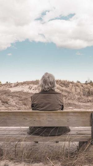 旺道seo系统截图4