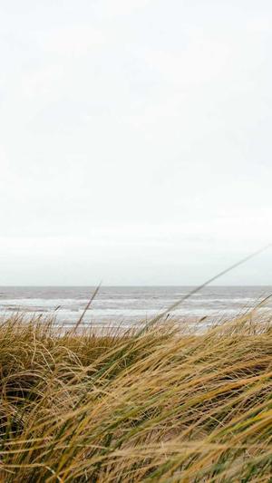 如何弄泛目录截图1