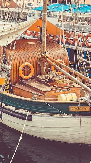 蜘蛛池搭建价格截图1