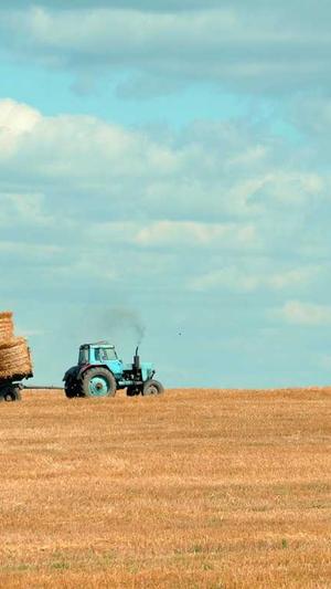 蜘蛛池怎么导入蜘蛛群截图4