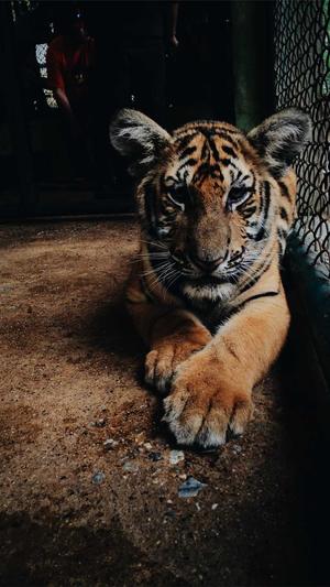 搜狗泛目录源码截图4