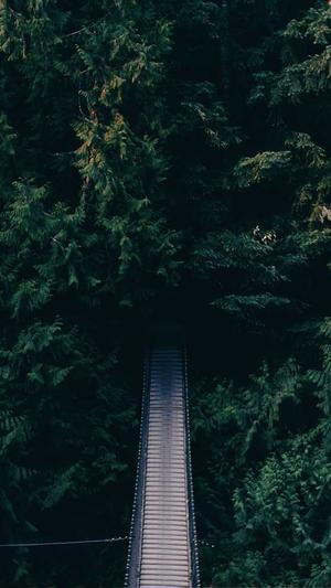 搜狗泛目录推送截图1