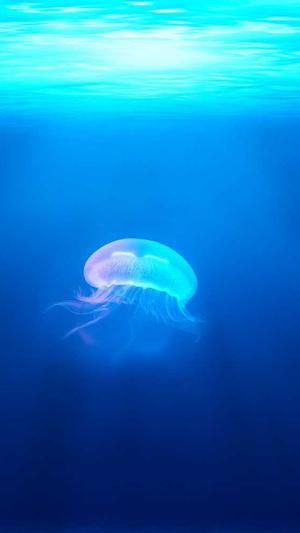 黑侠蜘蛛池2.0破解版截图3