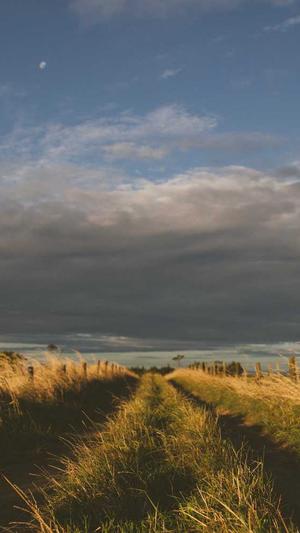 零距离泛目录推广排名截图3