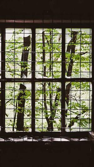 泛目录出租截图2