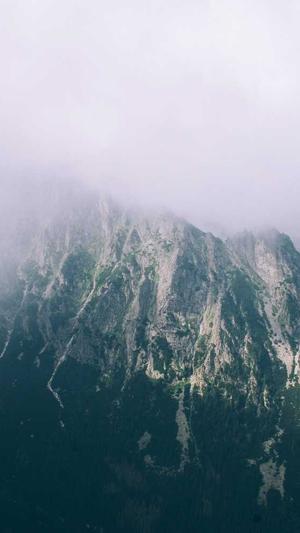 零距离泛目录推广排名截图1