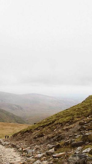 西安seo排名截图2