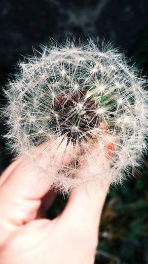 梦幻西游私服代理截图2