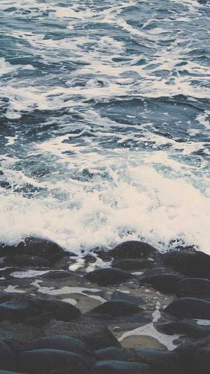 ok链蜘蛛池截图1