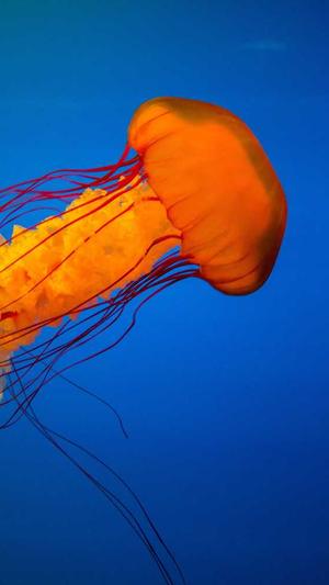 蜘蛛池锁定蜘蛛截图3