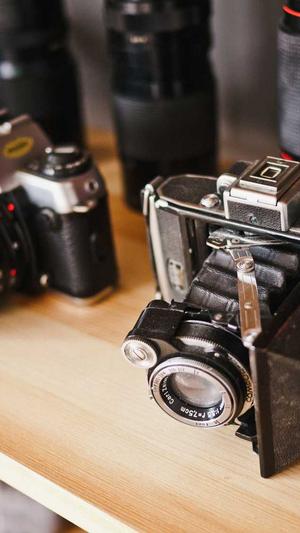 福建头条蜘蛛池出租截图2