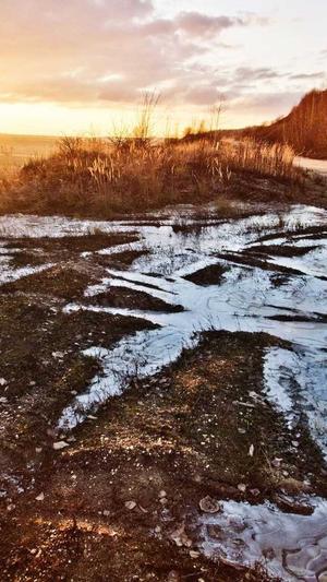 建蜘蛛池需要什么材料截图4