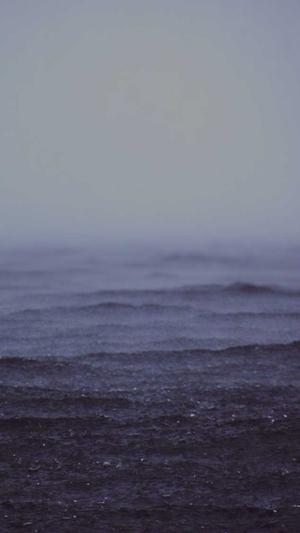 seo快速推广截图3