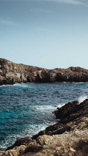 泛目录程序下载截图2