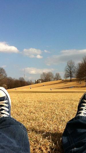 站长蜘蛛池截图4