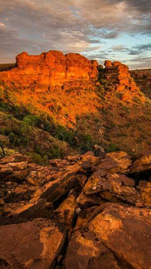 天道蜘蛛池程序截图1