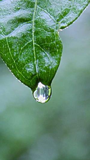 网站seo优化排名截图1