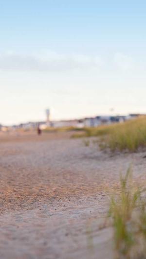 梦幻西游私服网截图2