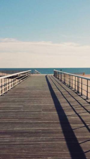 seo网络优化推广截图5