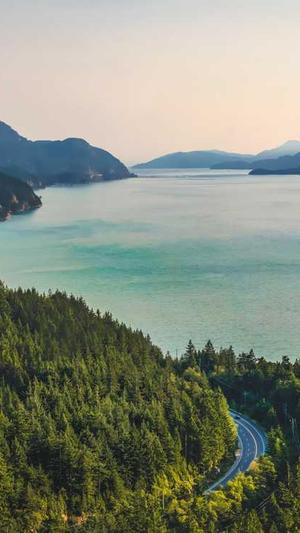 无名蜘蛛池程序版截图5