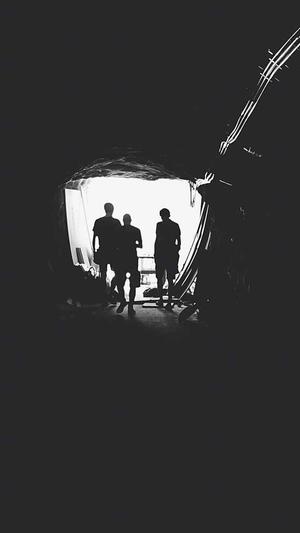 泛目录快速排名截图3