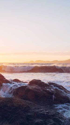 重庆专业网站seo截图1