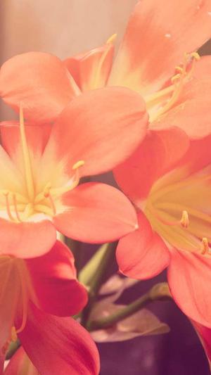 蜘蛛池程序2021截图5