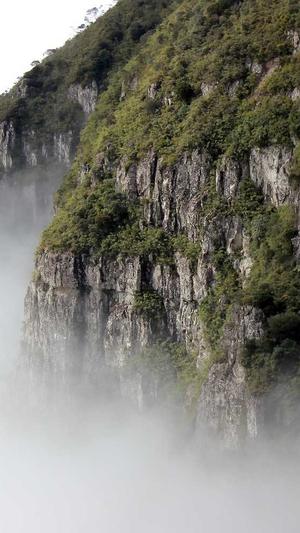 重庆seo优化这截图5