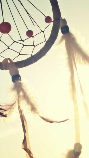 蜘蛛池搭建图片高清图截图1