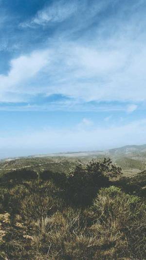 蜘蛛池哪里租的效果好截图2