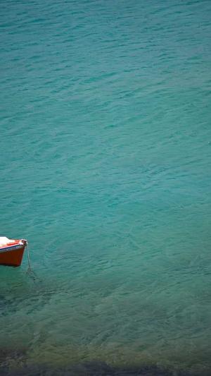 上海蜘蛛池出租服务截图3